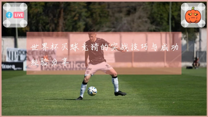 世界杯买球竞猜的实战技巧与成功经验分享