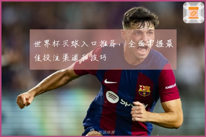 世界杯买球入口推荐，全面掌握最佳投注渠道和技巧