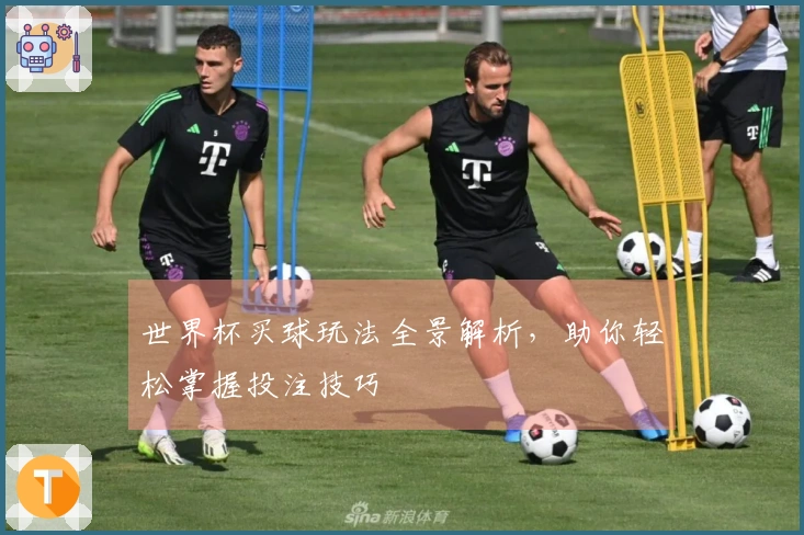 世界杯买球玩法全景解析，助你轻松掌握投注技巧